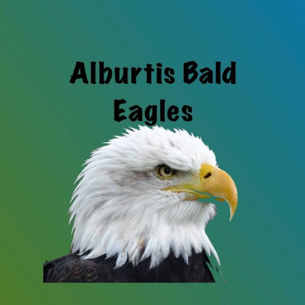 Alburtis Bald Eagles Team Logo