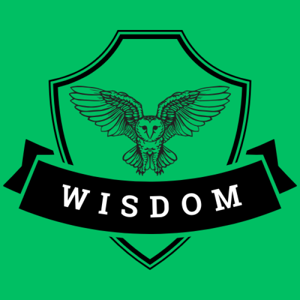 Team Wisdom:  Standen/Clapsaddle/Butler Team Logo
