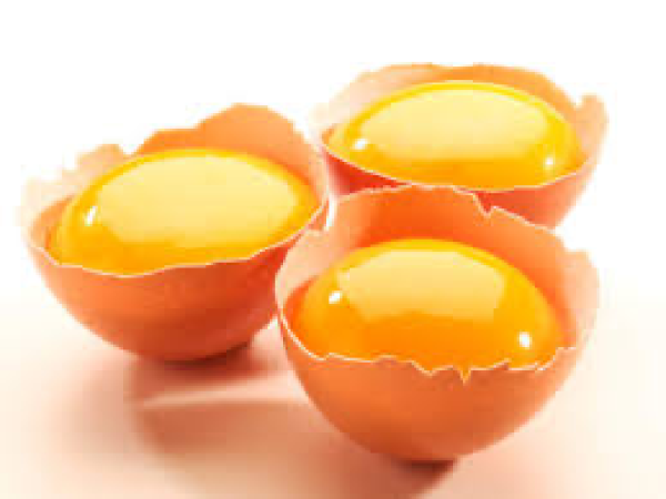 Egg Yolks Team Logo