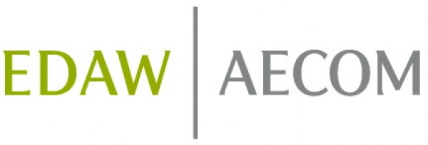 EDAW (Everybody Donates a Wig Team Logo