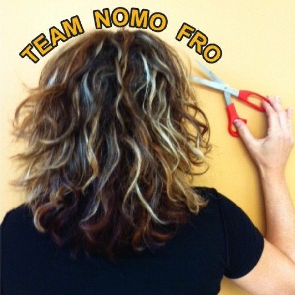 TEAM NOMO FRO Team Logo