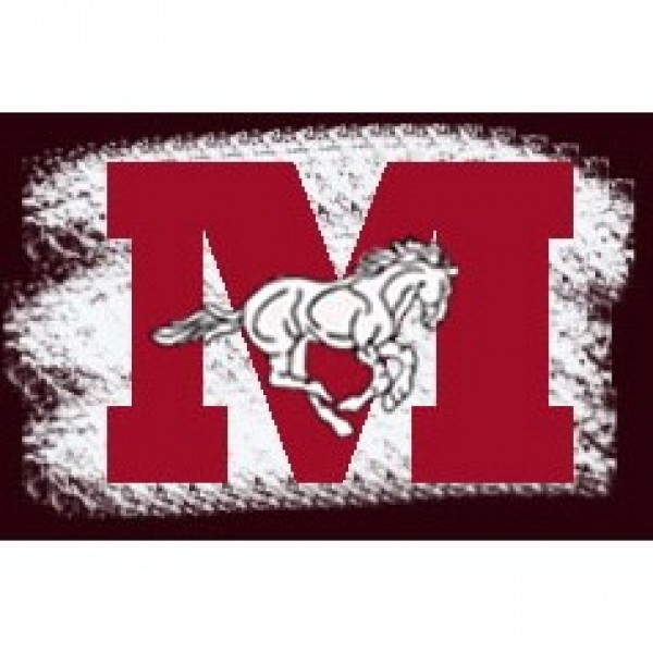 McFadden Mustangs Team Logo