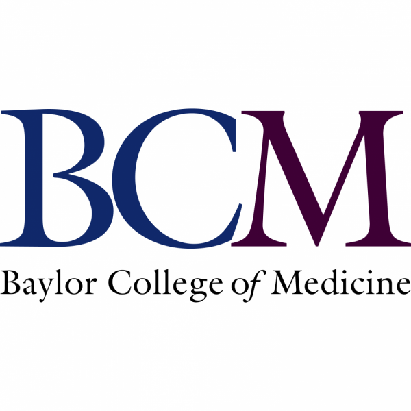 BCM Team Logo