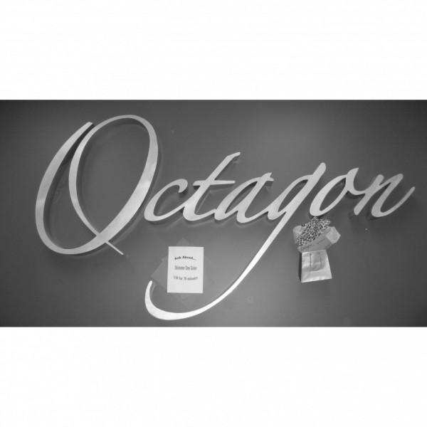 Octagon Spa Salon Team Logo