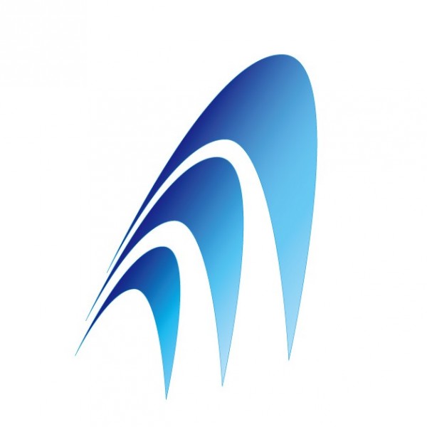 AIM Team Logo