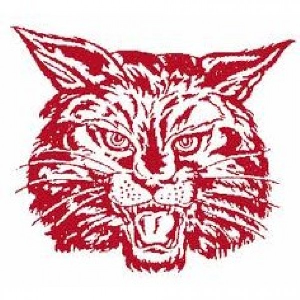 Maple Hill Wildcats Team Logo