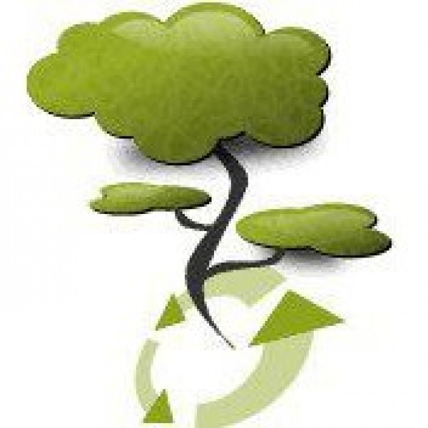 Dominion eWaste Recycling and Refining Team Logo