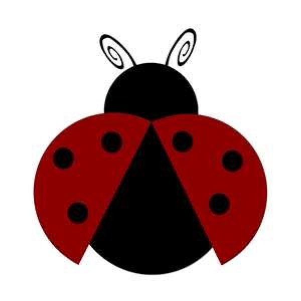 Fighting LADYbugs Team Logo