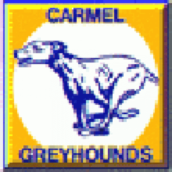 Greyhounds Bravely Going Bald Team Logo