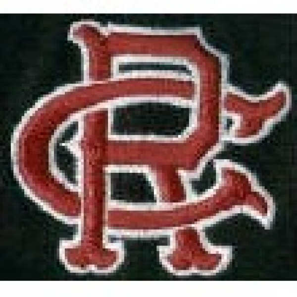 Cedar Ridge Baseball Team Logo