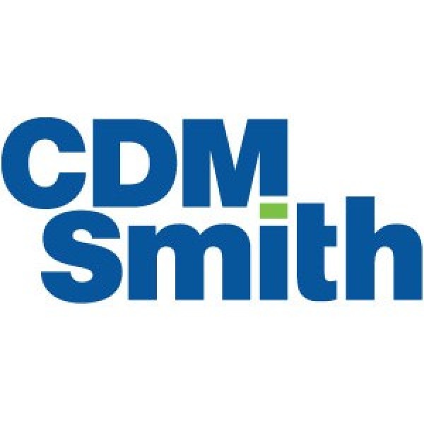 CDM Smith: Rocking Bald For The Cause Team Logo