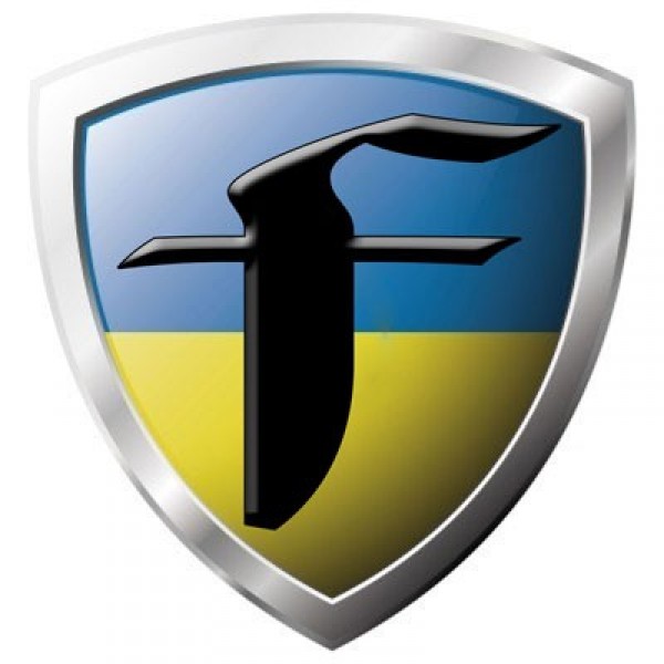 Team Fiscus Team Logo
