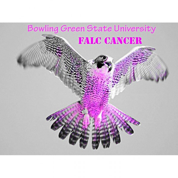 Falc Cancer Team Logo