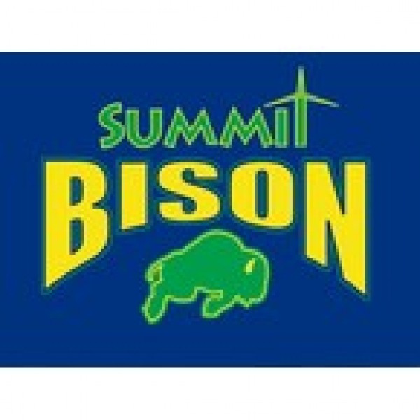 Summit Shaving Bison Team Logo