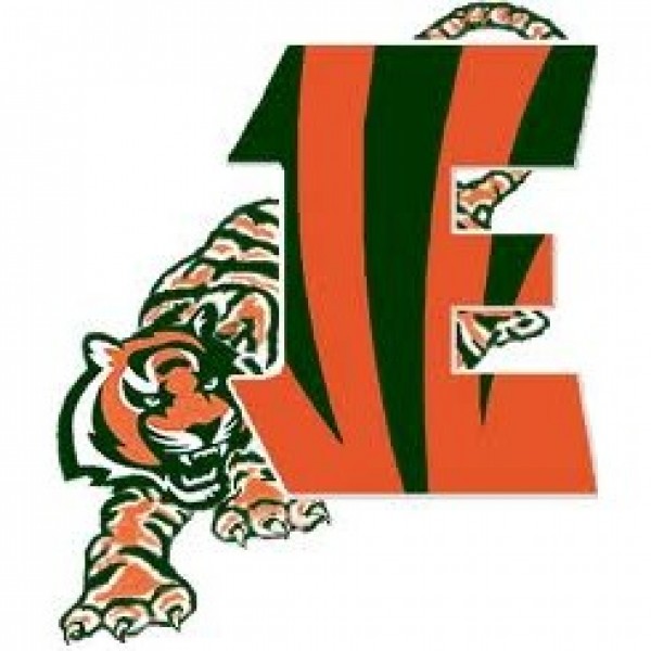 Team Bengal Team Logo