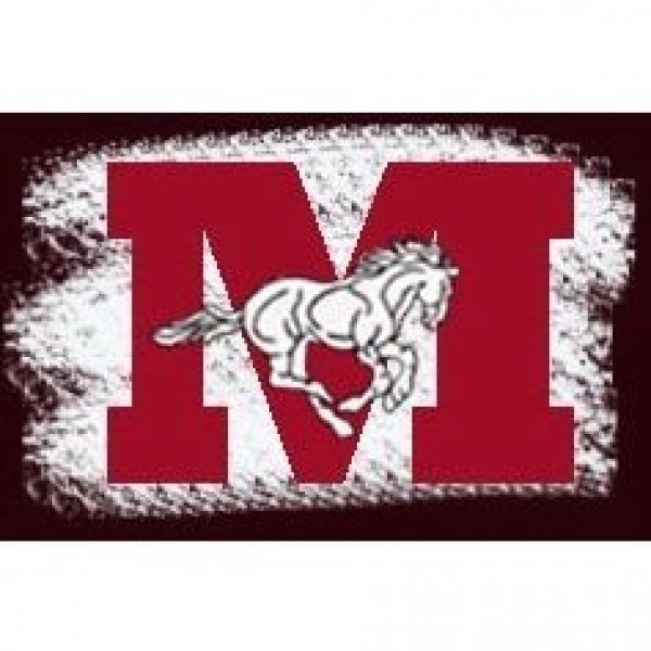 McFadden Mustangs Team Logo