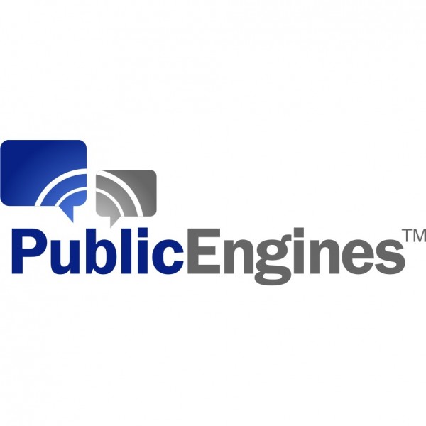 Team PublicEngines Team Logo