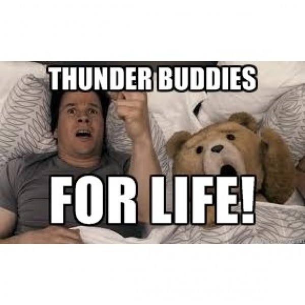 Team Thunder Buddies Team Logo