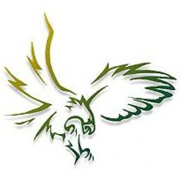 Plain "Bald" Eagles Team Logo