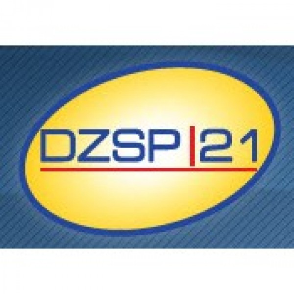 DZSP21 Team Logo