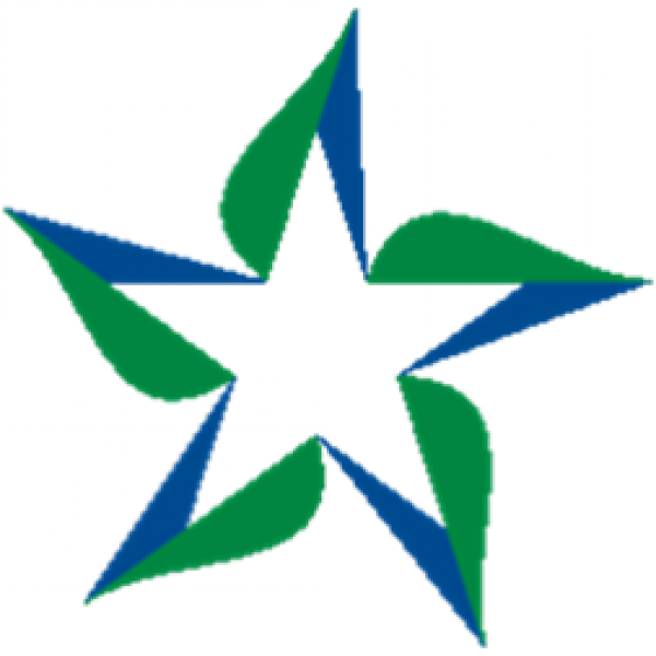Somersfield Academy Team Logo