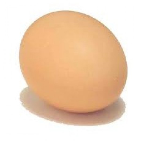 Eggs Team Logo