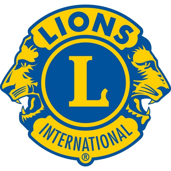 Washington Twp. Lions Team Logo