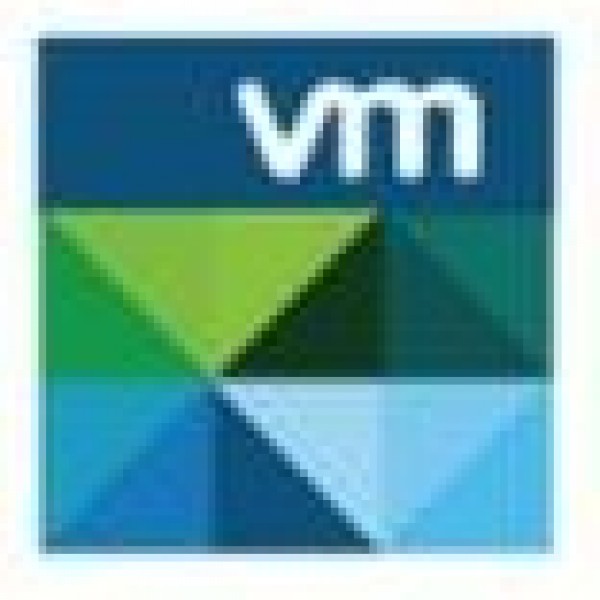 VMware Epic2 Americas Team Logo