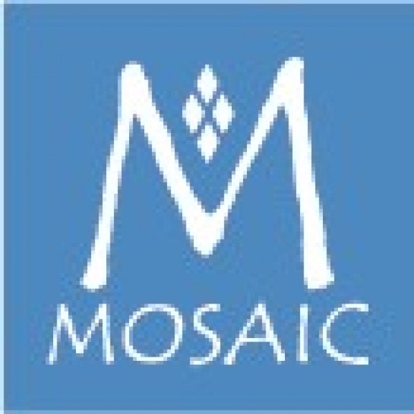 Team Mosaic Team Logo