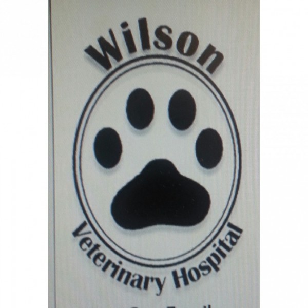 Wilson Veterinary Hospital Team Logo