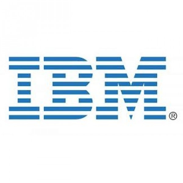 IBM Team Logo