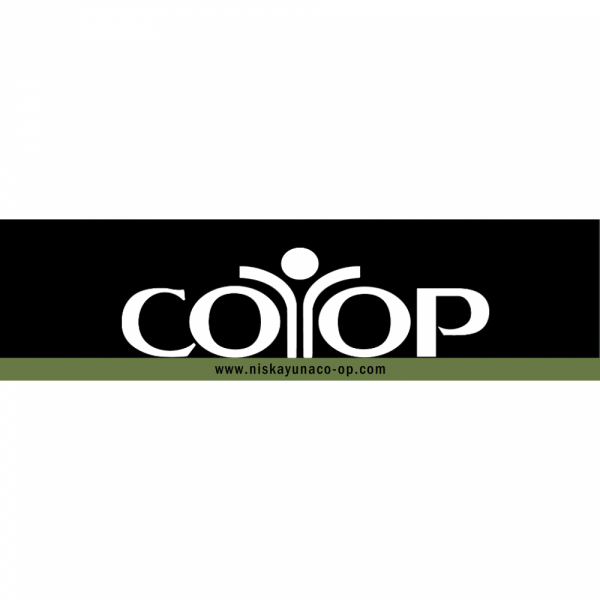 Niskayuna CO-OP Team Logo