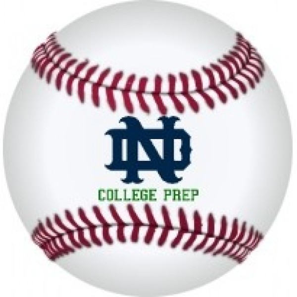 Baseball Team Logo