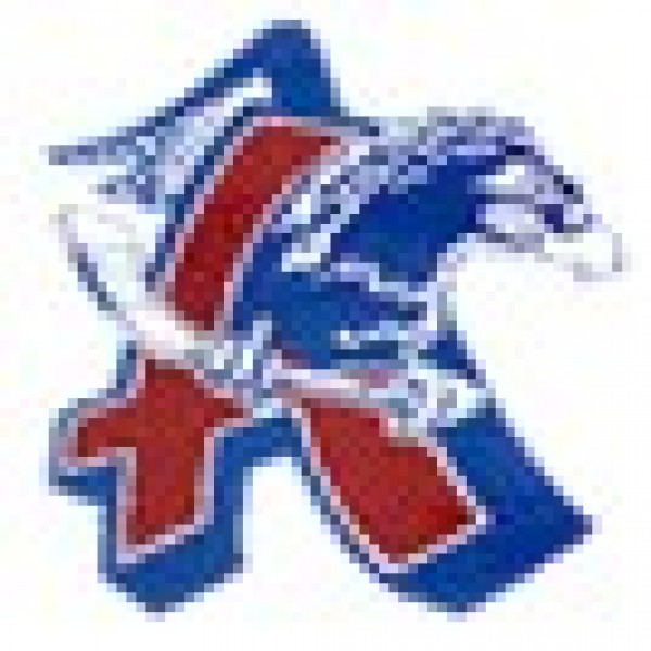 Auburn Ice Hawks Team Logo