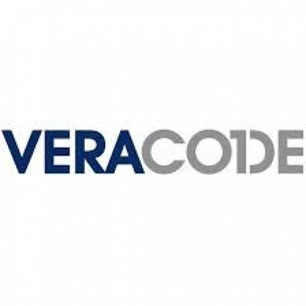 Team Veracode Team Logo