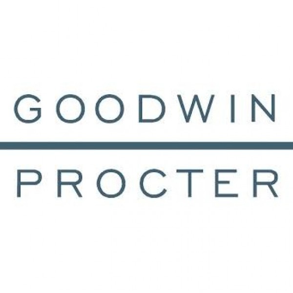 Team Goodwin Team Logo