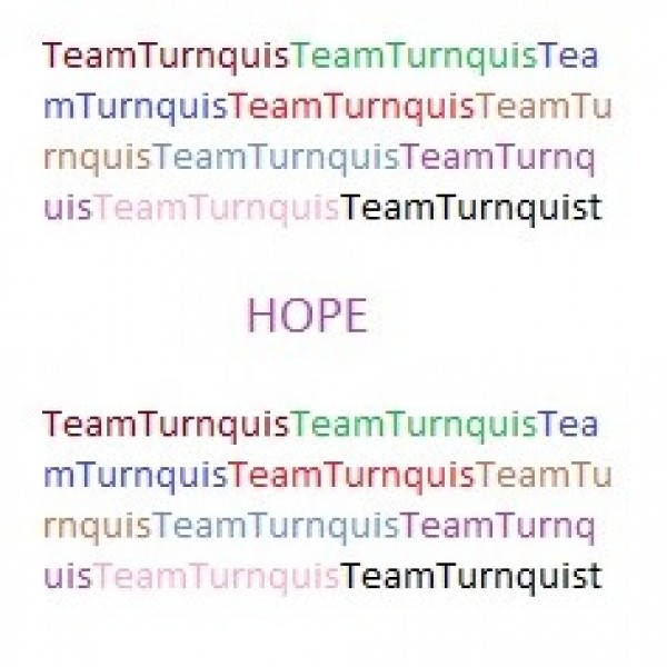 Team Turnquist Team Logo