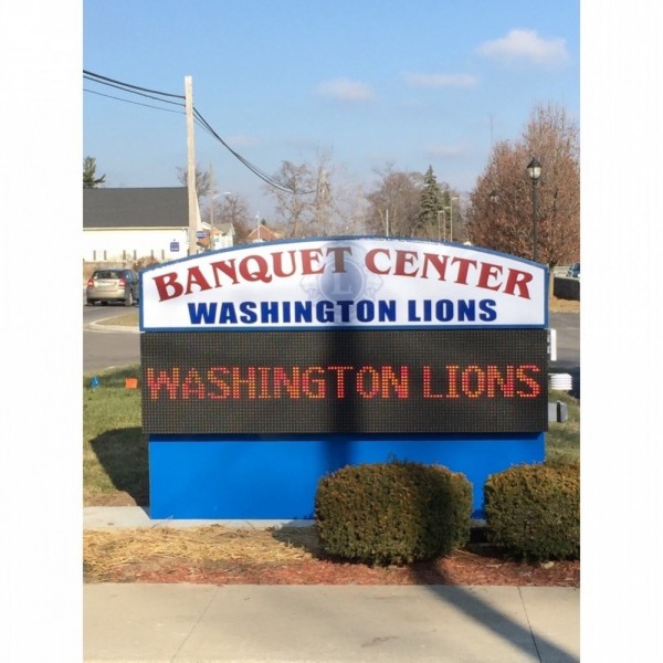 Washington Lions Team Logo