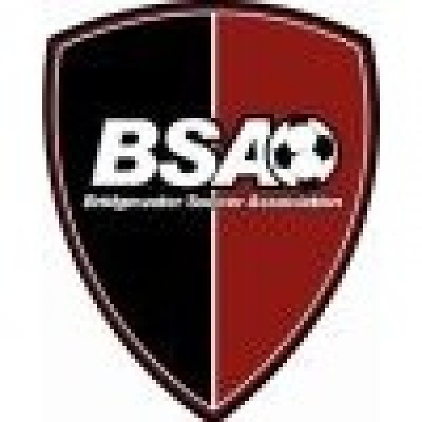 BSA Arsenal and Friends Team Logo
