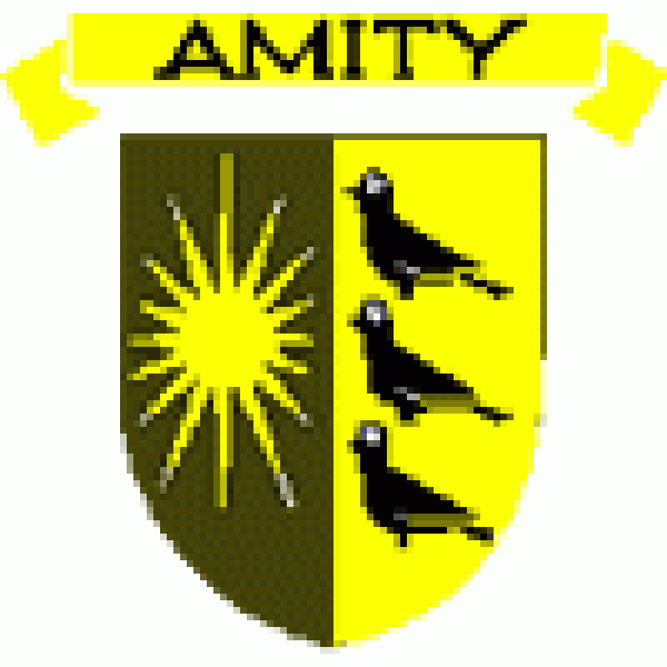 Amity High School Team Logo